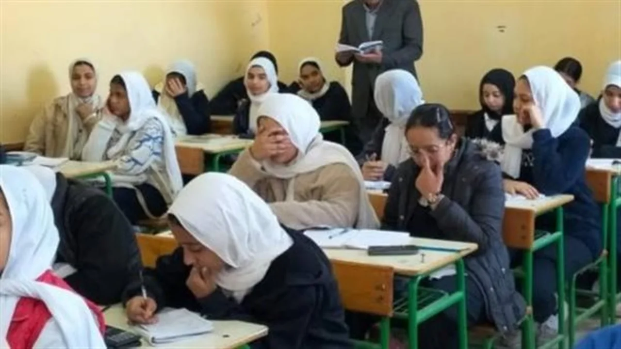 رابط مباشر.. استعلم عن نتيجة الشهادة الإعدادية لعام 2026 برقم الجلوس في المحافظات